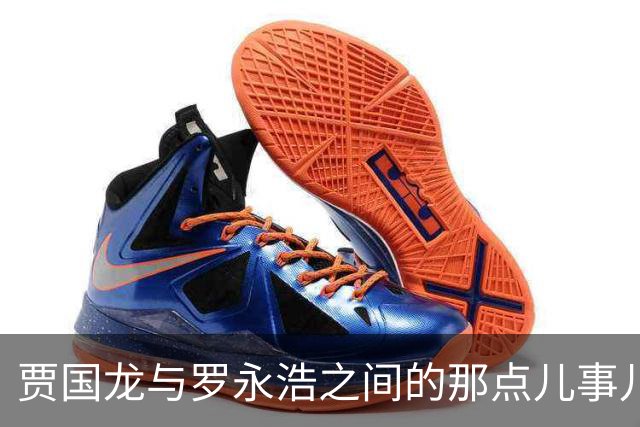 贾国龙与罗永浩之间的那点儿事儿